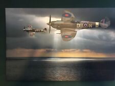 Canvas art raf for sale  BRIGHTON