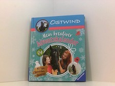 Stwind kreativer adventskalend gebraucht kaufen  Berlin