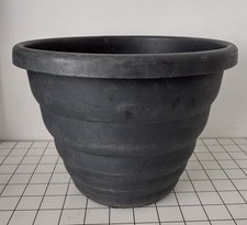 Large black flower for sale  BRISTOL