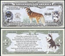 Lot 500 bills for sale  Mason City