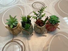 Deko kunstpflanzen sukkulenten gebraucht kaufen  Mönchengladbach