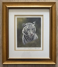 Stephen gayford white for sale  TELFORD