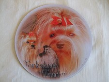 Tapis souris yorkshire d'occasion Tapis souris yorkshire d'occasion  Troyes