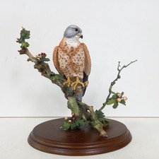 Country artists kestrel for sale  SWINDON