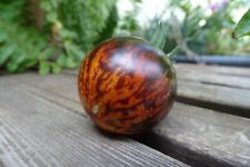 Queen night tomato for sale  Espanola