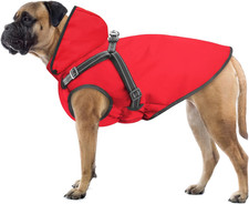 Impermeabile per cani usato  Roma