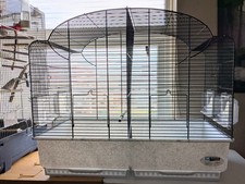 Breeding cage canaries for sale  LEEDS