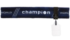 Fascia champion con usato  Massa di Somma