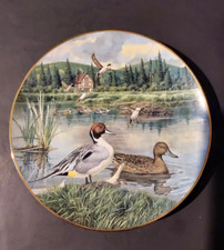 Pintail collector plate for sale  Langhorne