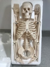 85cm half size for sale  SOUTHAMPTON