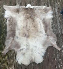 Reindeer skin pelt for sale  TELFORD