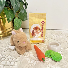 Generation pet bunny for sale  New Port Richey