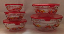 Tlg glasschalen set gebraucht kaufen  Altstadt,-Andershof,-Devin