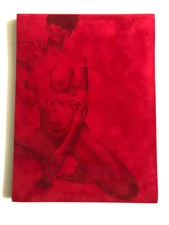 Visionaire woman libris usato  Milano