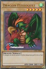 Dragon perroquet lckc d'occasion  Argenteuil