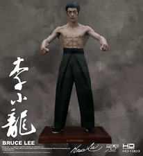 Bruce lee masterpiece d'occasion  Expédié en Belgium