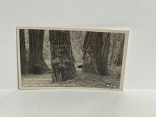 Postcard rppc fallen for sale  Forest Park