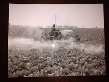 Riginal lanz foto gebraucht kaufen  Wedemark
