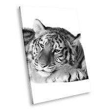 A281 black white for sale  STRABANE