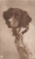 Portrait dog npg d'occasion  Expédié en Belgium