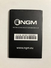 Batteria originale ngm usato  Italia