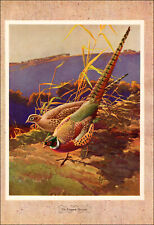 1946 vintage print for sale  Carmel Valley