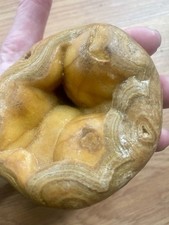 Large fortification agate for sale  Forsyth