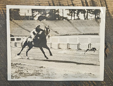 1927 horse racing for sale  Salado