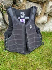 Champion cobra body for sale  PWLLHELI