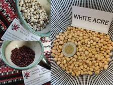 Fagioli oculari varietà usato  Spedire a Italy