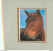 Animals horses horse d'occasion  Expédié en Belgium