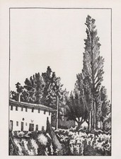 Giorgio morandi fattoria usato  Castellammare di Stabia