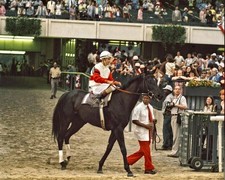 1975 horse racing for sale  Manchester Township