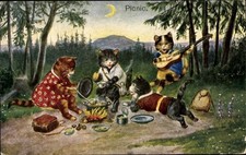 Katzen picknick lagerfeuer gebraucht kaufen  Berlin