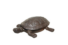 cast iron turtle for sale  Plymouth