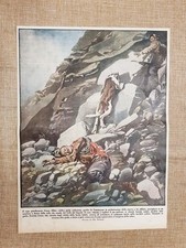 Retrocopertina illustrazione p usato  Villarosa