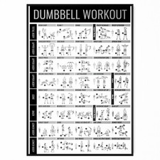 Dumbell gym workout for sale  LONDON