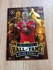 Wayne rooney hall gebraucht kaufen  Salzbergen