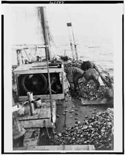 Bugeye coulbourn dredge for sale  USA