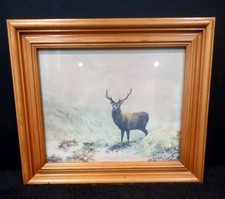 Framed highland stag for sale  BOLTON