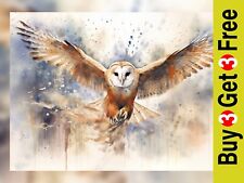 Mesmerizing barn owl for sale  PORTSMOUTH
