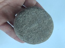 Biscuit stone discoidal for sale  Fremont