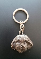 shih tzu usato shih tzu usato Abano Terme