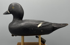 Original paint bufflehead for sale  Franklin