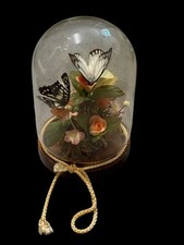Vintage butterfly dried for sale  WHITEHAVEN