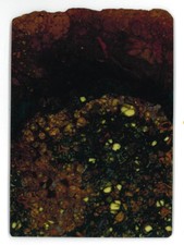 Usado, Pallasite "JEPARA" - Fatia - 97,9 g - 130 x 95 x 2,5 mm comprar usado  Enviando para Brazil