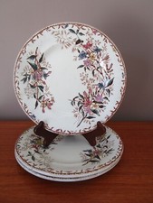 Flat plates terre d'occasion  Expédié en Belgium