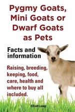 Pygmy goats mini for sale  Little Falls