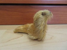 Kleiner seehund lang gebraucht kaufen  Mannheim