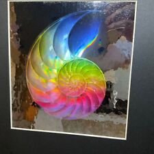 Embossed hologram nautilus for sale  Fountain Hills